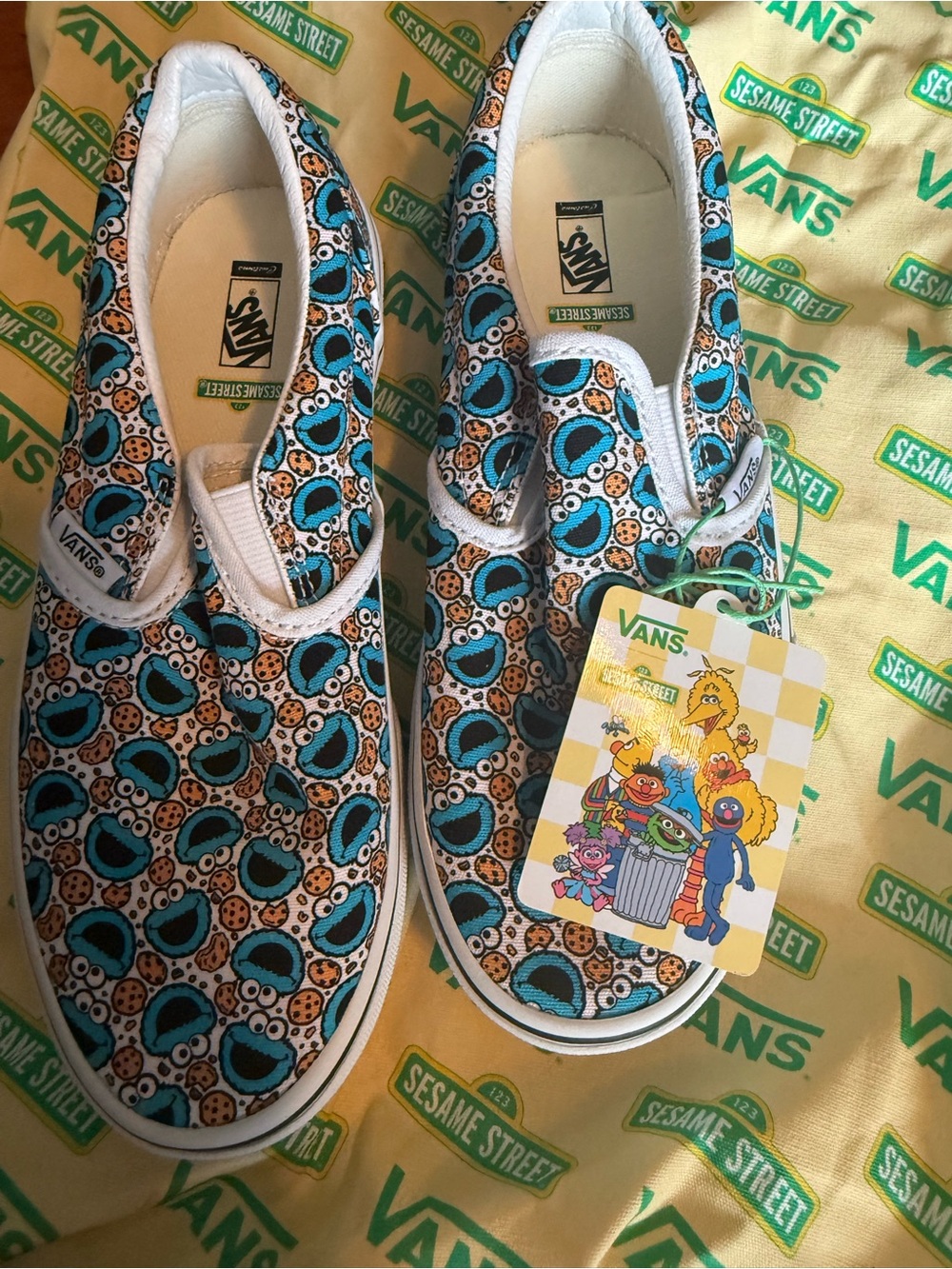 Sesame Street Kids Slip-On Sneakers in Turquoise, White & Brown